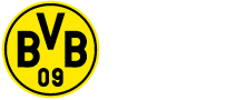 BVB09 Regional Partner in Japan
