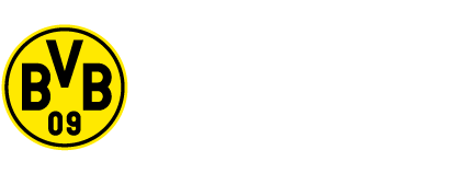 BVB YOUTH DEVELOPMENT PARTNER