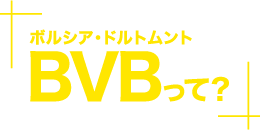 BVBāH